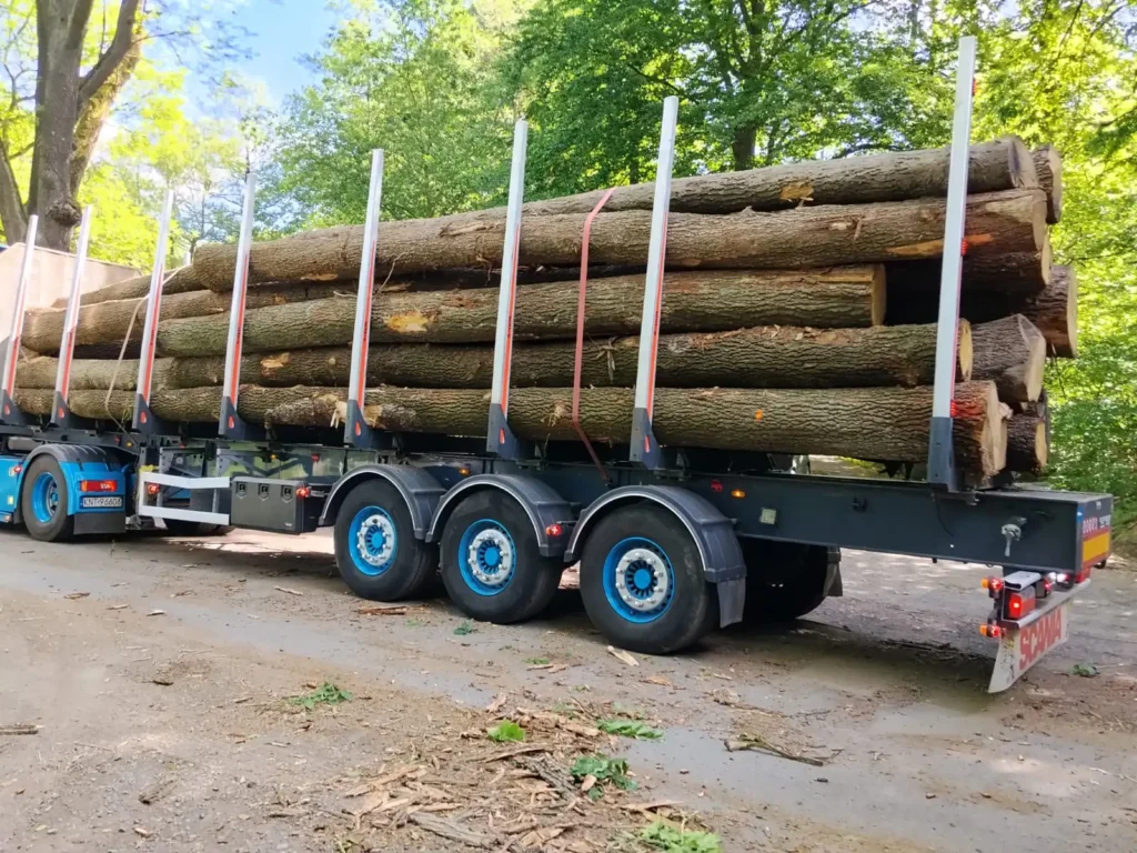 DĄB – dłużyce tartaczne, długość 8-12 m – SPRZEDAM
