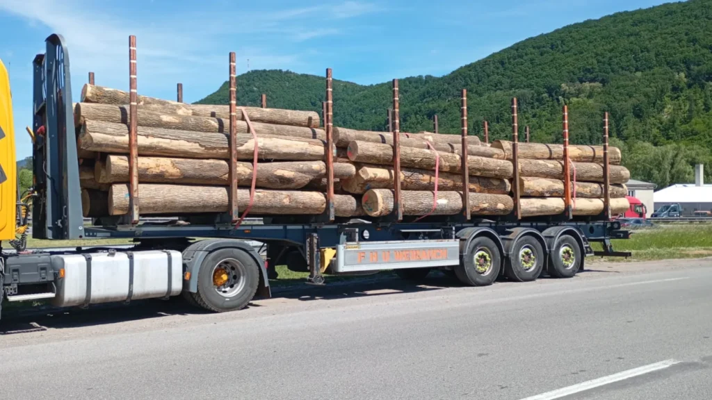 JESION – kłody tartaczne, długość 4 m – SPRZEDAM