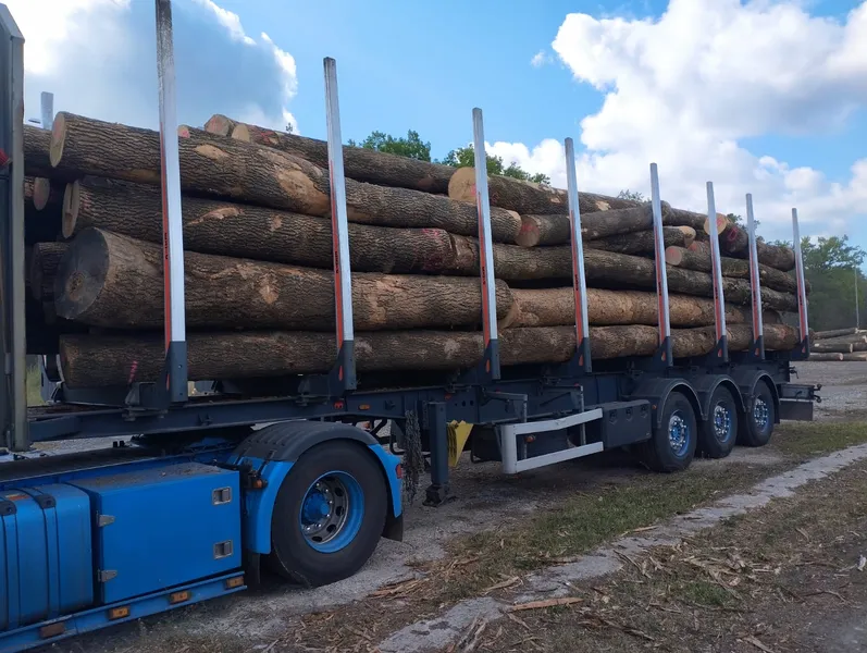 JESION – drewno tartaczne, długość 3-11 m – SPRZEDAM