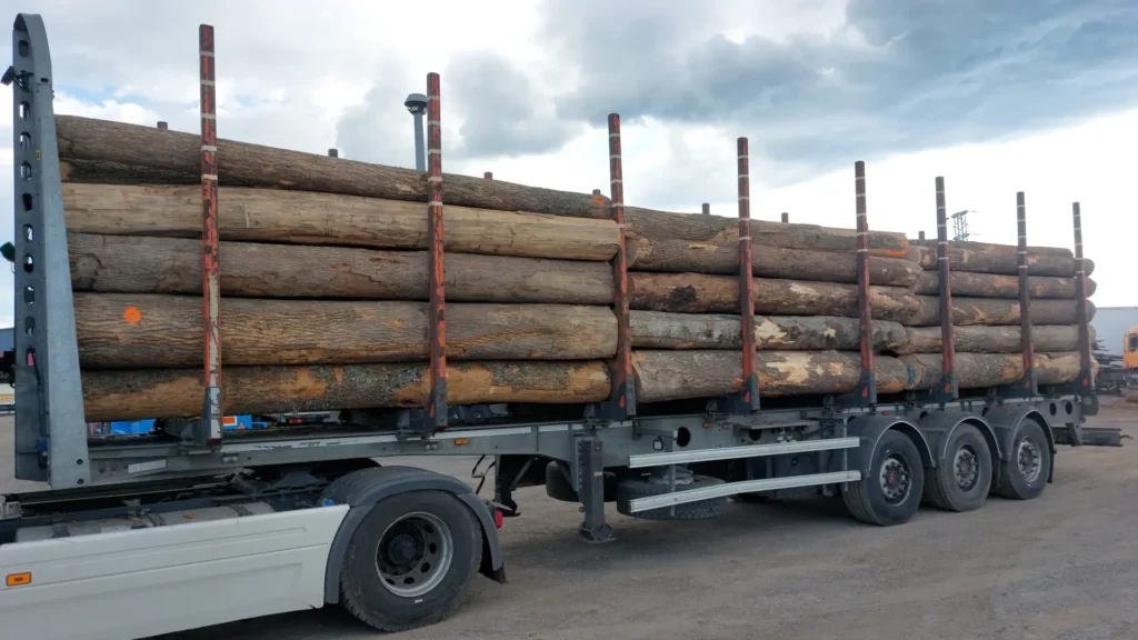 JESION – kłody tartaczne, długość 4 m – SPRZEDAM
