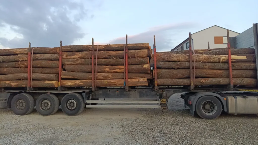 DĄB – kłody tartaczne, długość 4 m – SPRZEDAM
