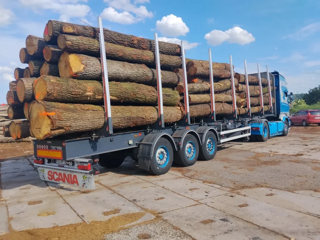 DĄB – kłody tartaczne, długość 3/4 m – SPRZEDAM