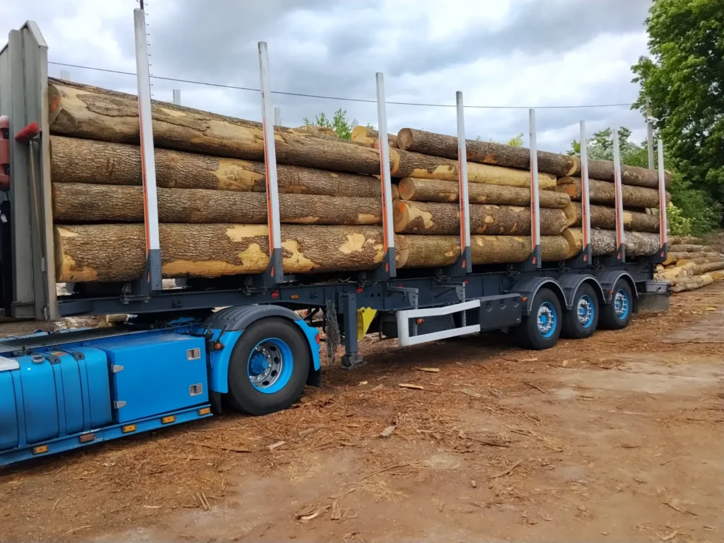 JESION – kłody tartaczne, długość 4 m – SPRZEDAM