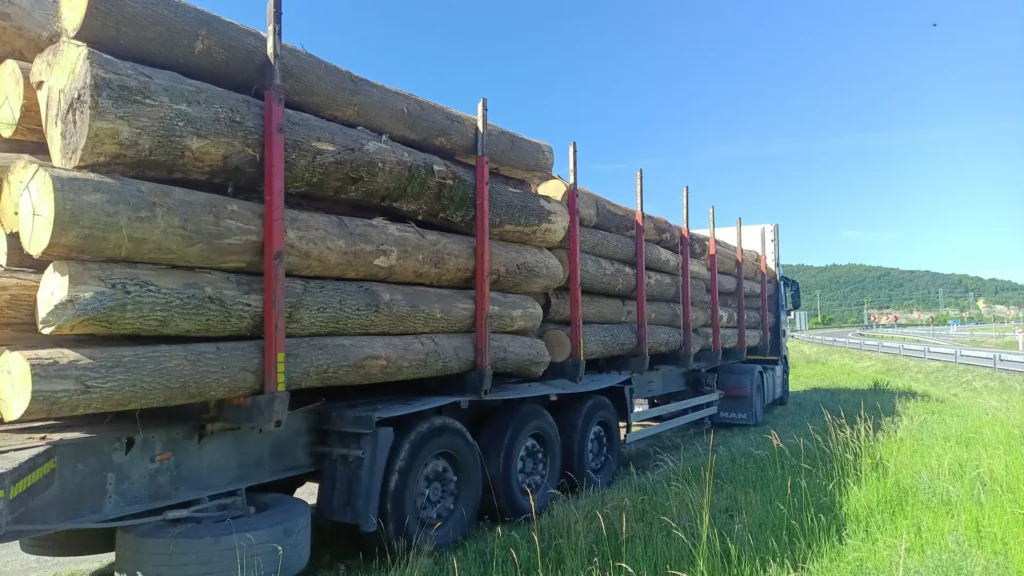 JESION – kłody tartaczne, długość 4 m – SPRZEDAM