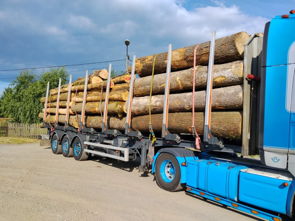 JESION – drewno tartaczne, długość 3-7 m – SPRZEDAM