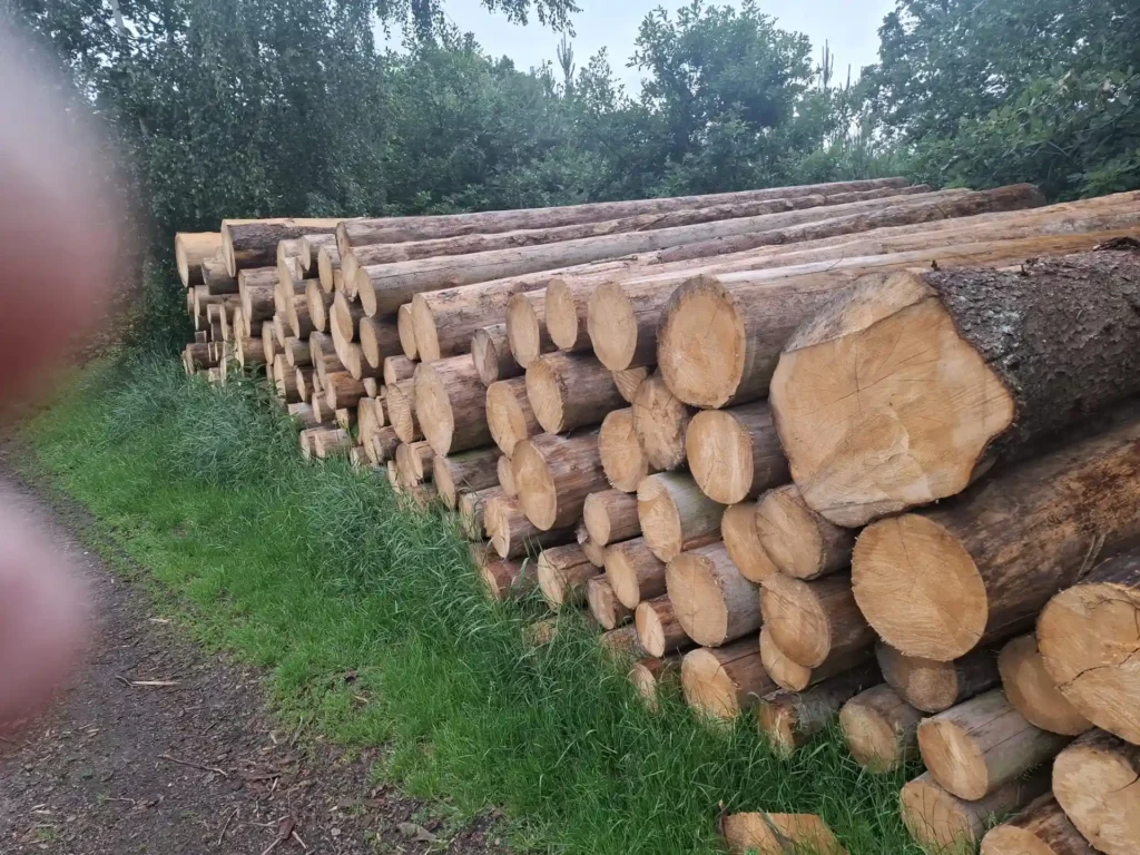 ŚWIERK – drewno paletowe, długość 5 m – SPRZEDAM