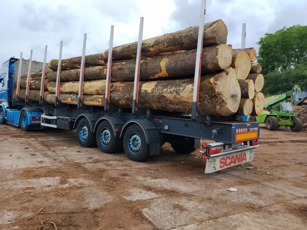 JESION – kłody tartaczne, długość 4 m – SPRZEDAM
