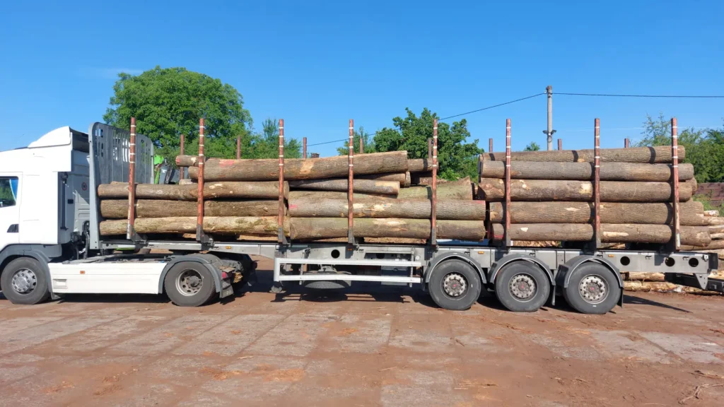 JESION – kłody tartaczne, długość 4/5 m – SPRZEDAM