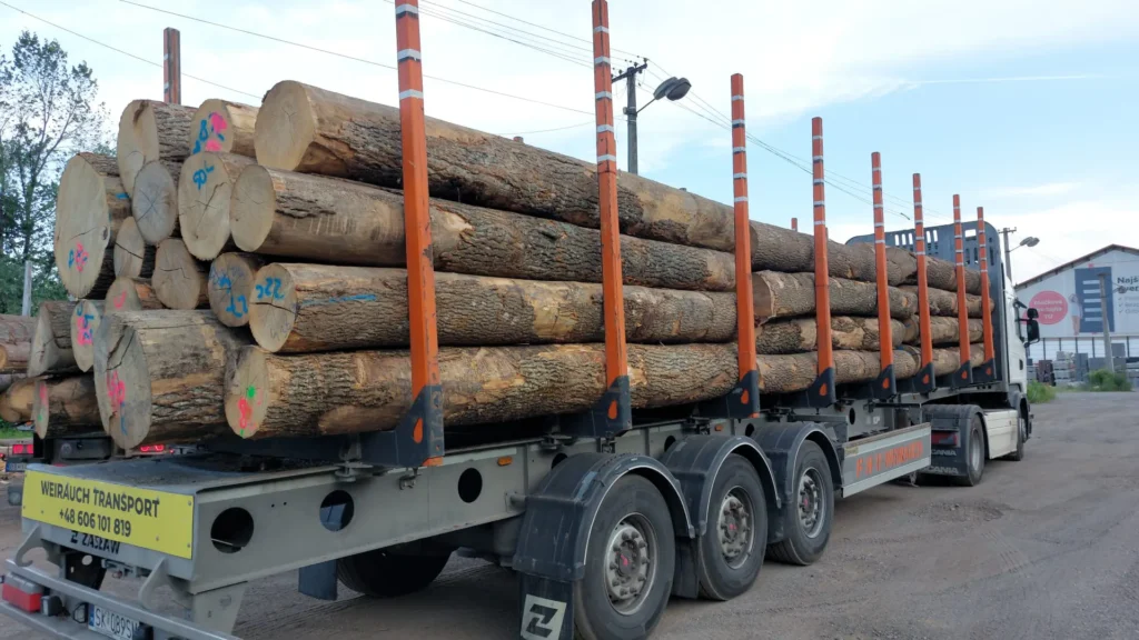 JESION – kłody tartaczne, długość 4 m – SPRZEDAM