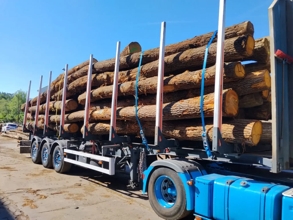 DĄB – drewno tartaczne, długość 4-12 m – SPRZEDAM