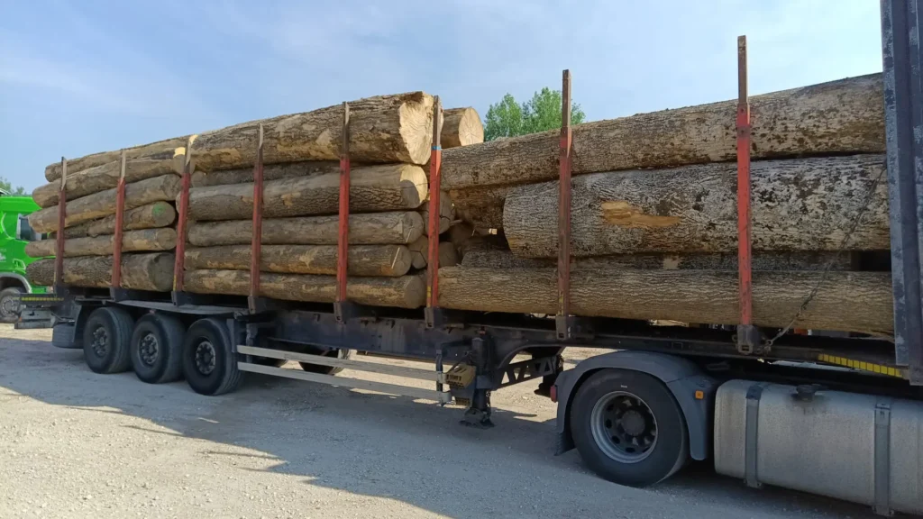 JESION – kłody tartaczne – długość 3/4 m – SPRZEDAM