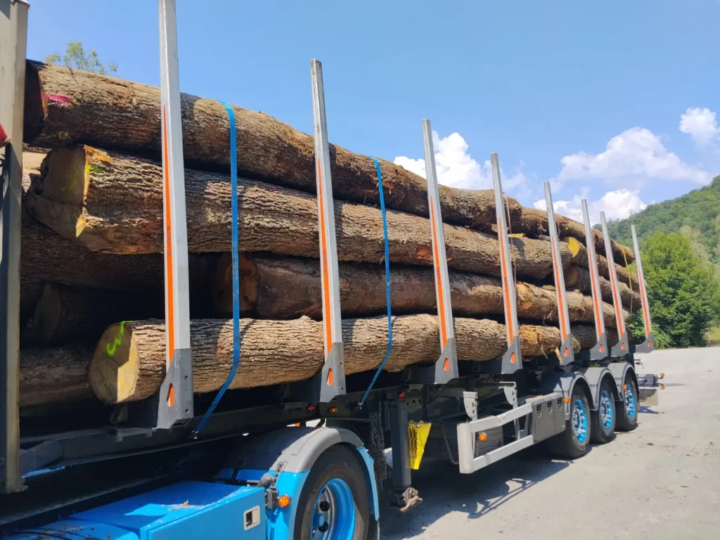 DĄB – drewno tartaczne, długość 3-12 m – SPRZEDAM