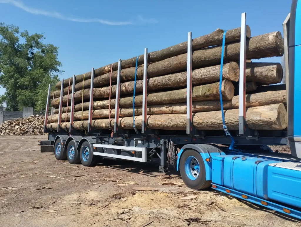 JESION – drewno tartaczne, długość 3-12 m – SPRZEDAM