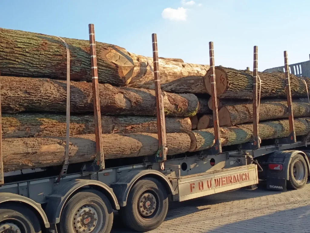 DĄB – drewno tartaczne, posusz, długość 4-8 m – SPRZEDAM