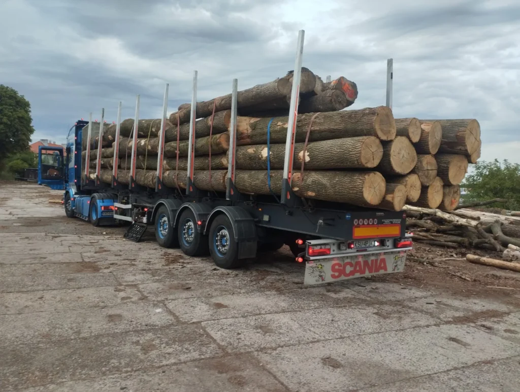 JESION – kłody tartaczne, długość 3 m – SPRZEDAM