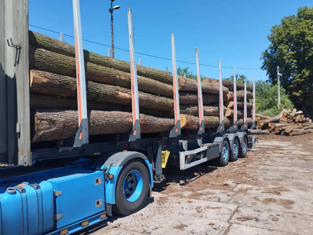 DĄB – kłody tartaczne, długość 4 m – SPRZEDAM
