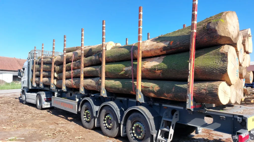 JESION – kłody tartaczne, długość 4 m – SPRZEDAM