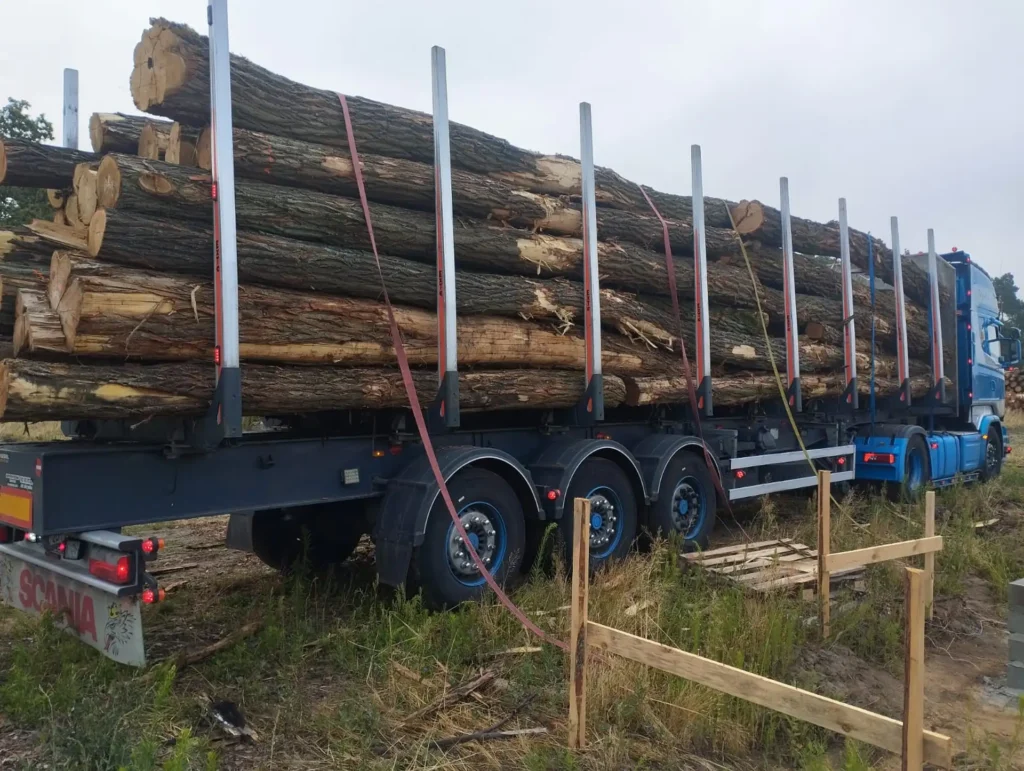 AKACJA – drewno tartaczne, długość 3-10 m – SPRZEDAM