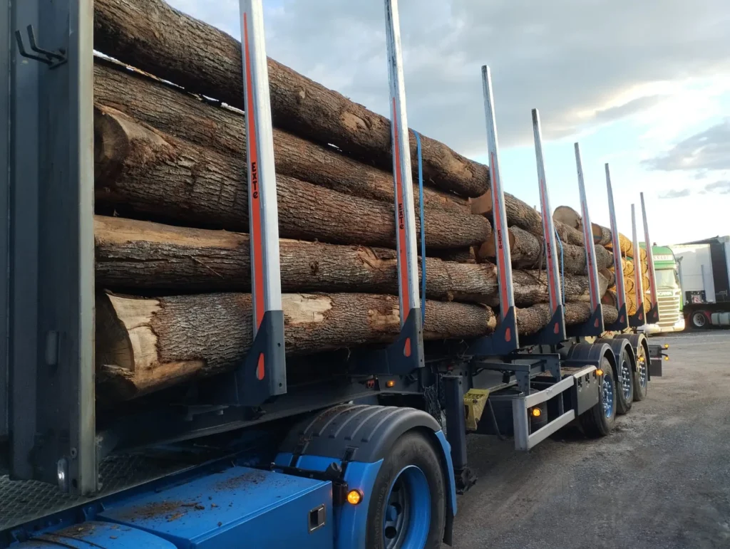 DĄB – kłody tartaczne, długość 4 m – SPRZEDAM
