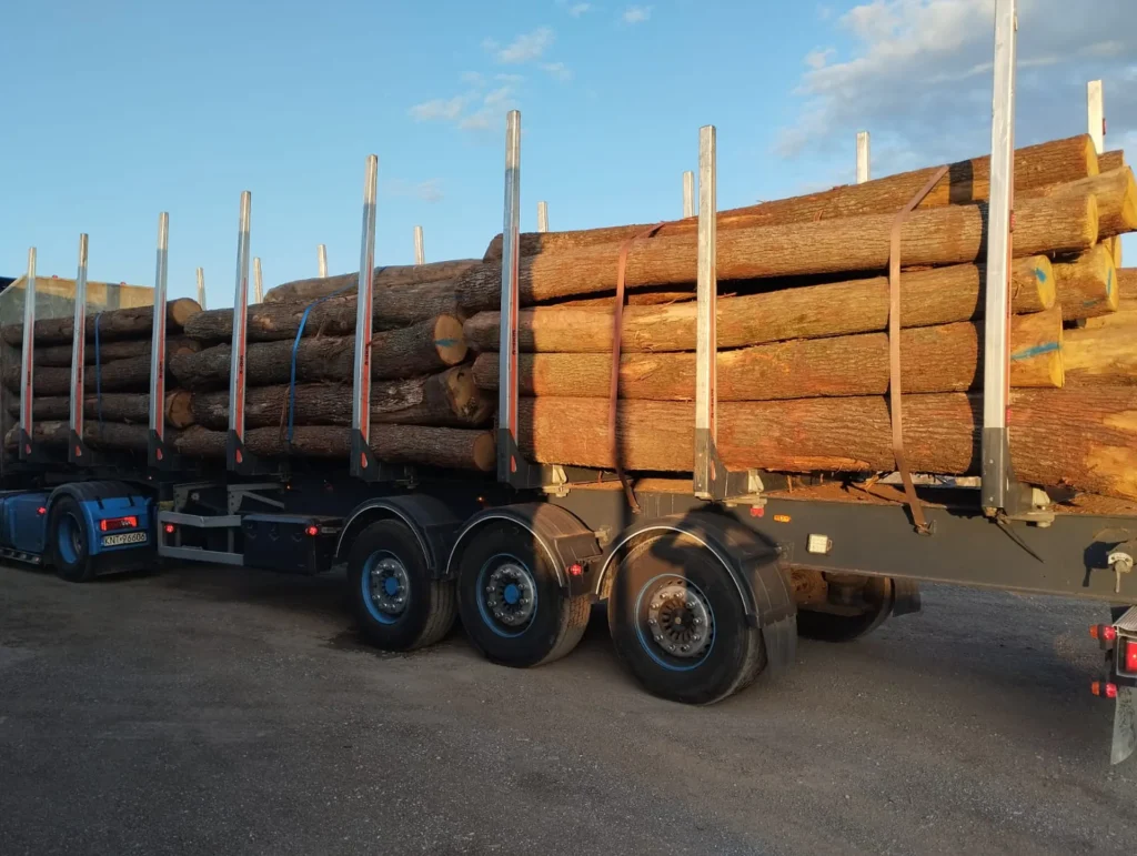 DĄB – kłody tartaczne, długość 4 m – SPRZEDAM
