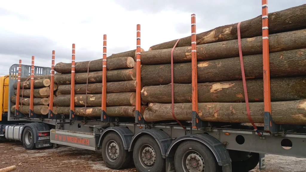 JESION – kłody tartaczne, długość 3/4 m – SPRZEDAM