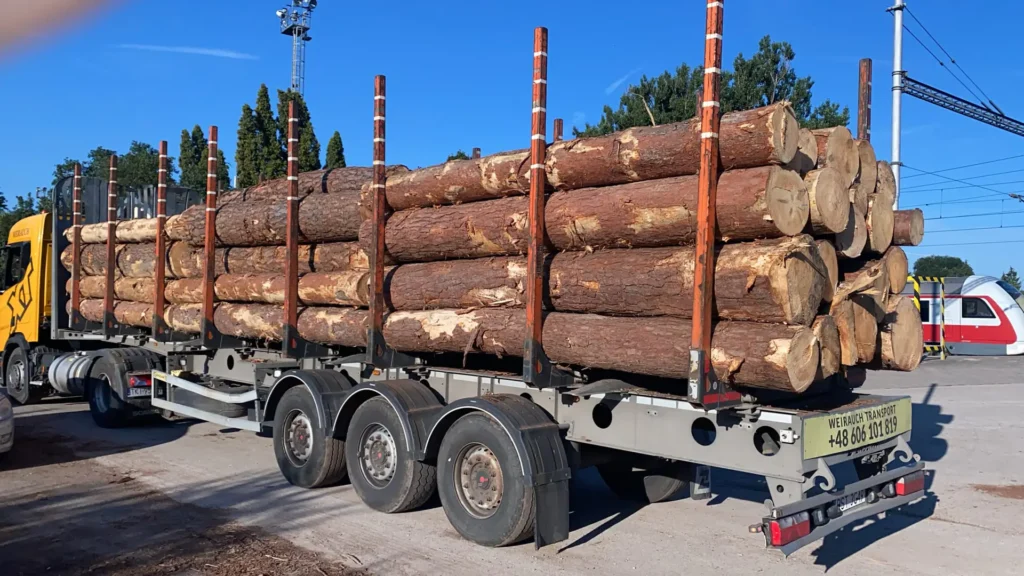 SOSNA – kłody tartaczne, długość 4 m – SPRZEDAM