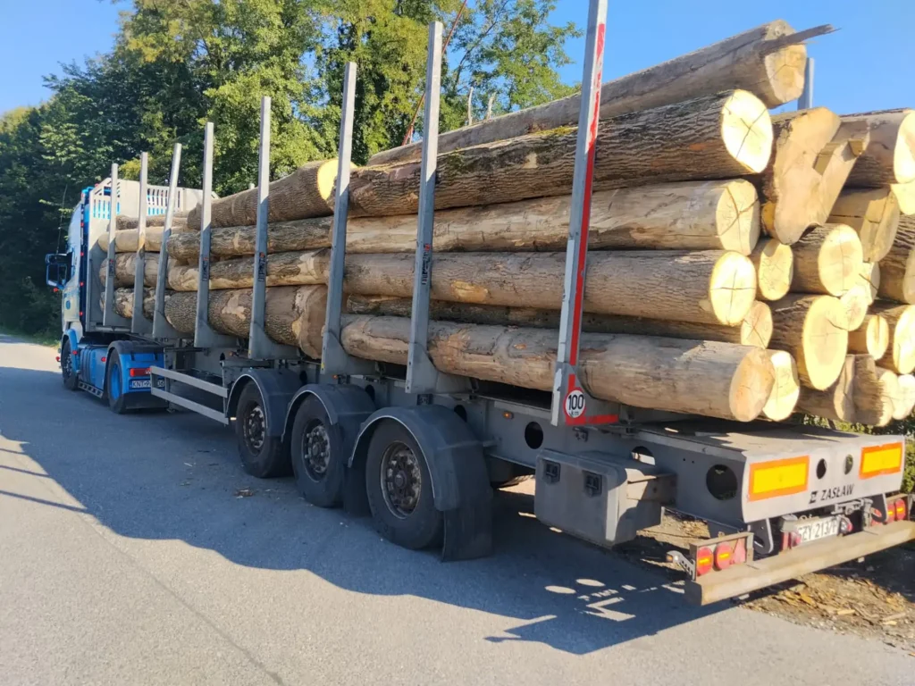JESION – kłody tartaczne, długość 4 m – SPRZEDAM