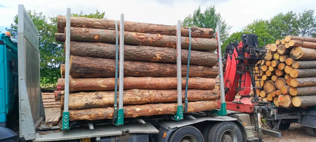 SOSNA – klody tartaczne, długość 4 m – SPRZEDAM