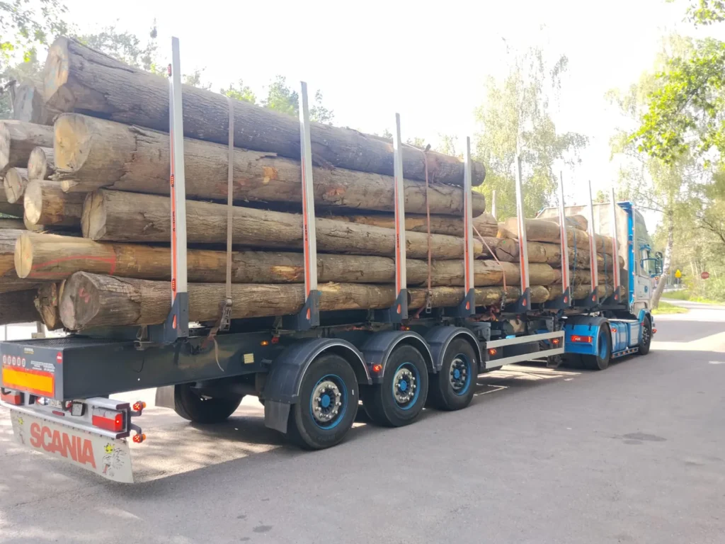 DĄB CZERWONY – kłody tartaczne, długość 3-6 m – SPRZEDAM