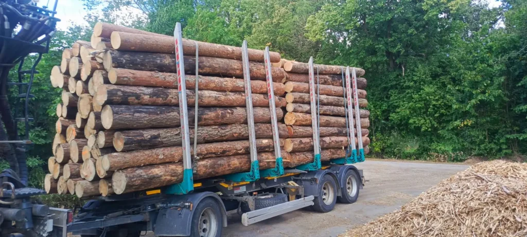 SOSNA – klody tartaczne, długość 4 m – SPRZEDAM