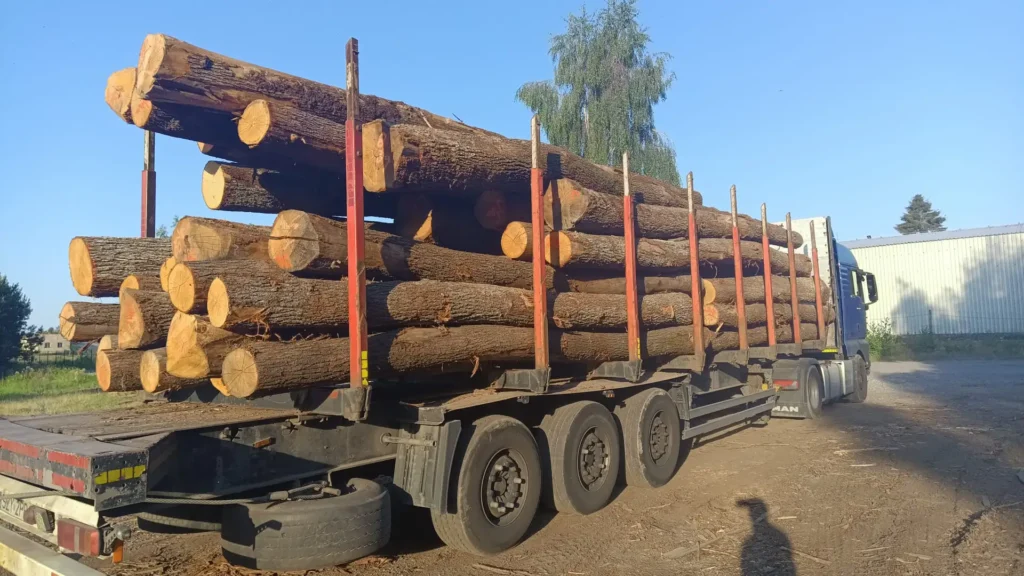 DĄB – drewno tartaczne, długość 5-8 m – SPRZEDAM