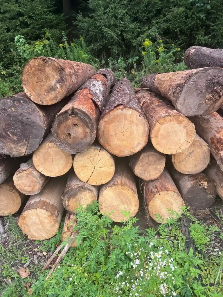ŚWIERK – drewno paletowe, długość 4 m – SPRZEDAM
