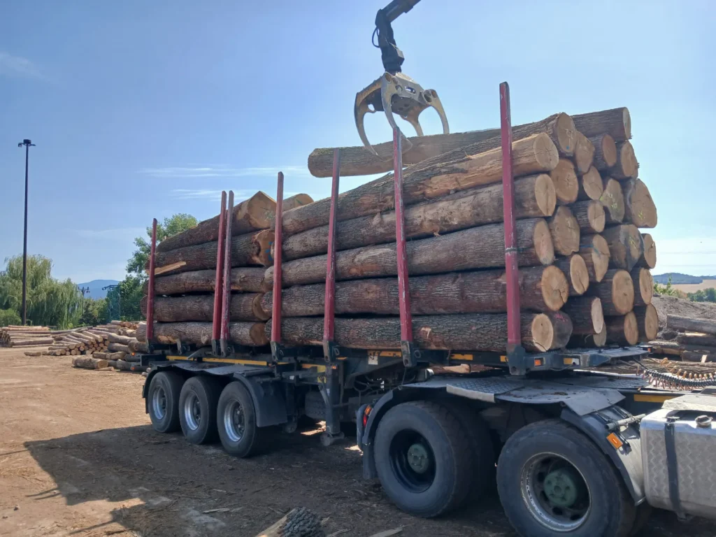 DĄB – kłody tartaczne, długość 4 m – SPRZEDAM