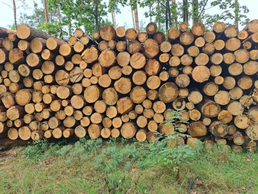 SOSNA – drewno paletowe, długość 2,5 m – SPRZEDAM