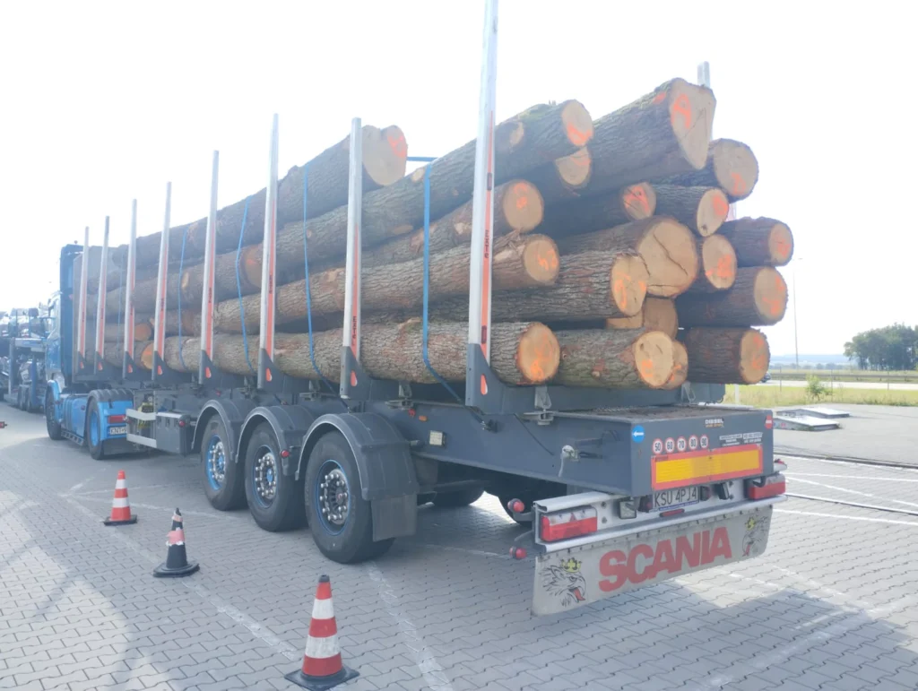 DĄB – drewno tartaczne, długość 3-8 m – SPRZEDAM