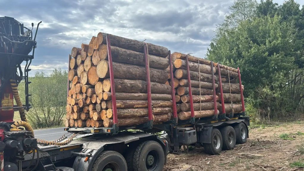 SOSNA – drewno paletowe, długość 2,5 m – SPRZEDAM