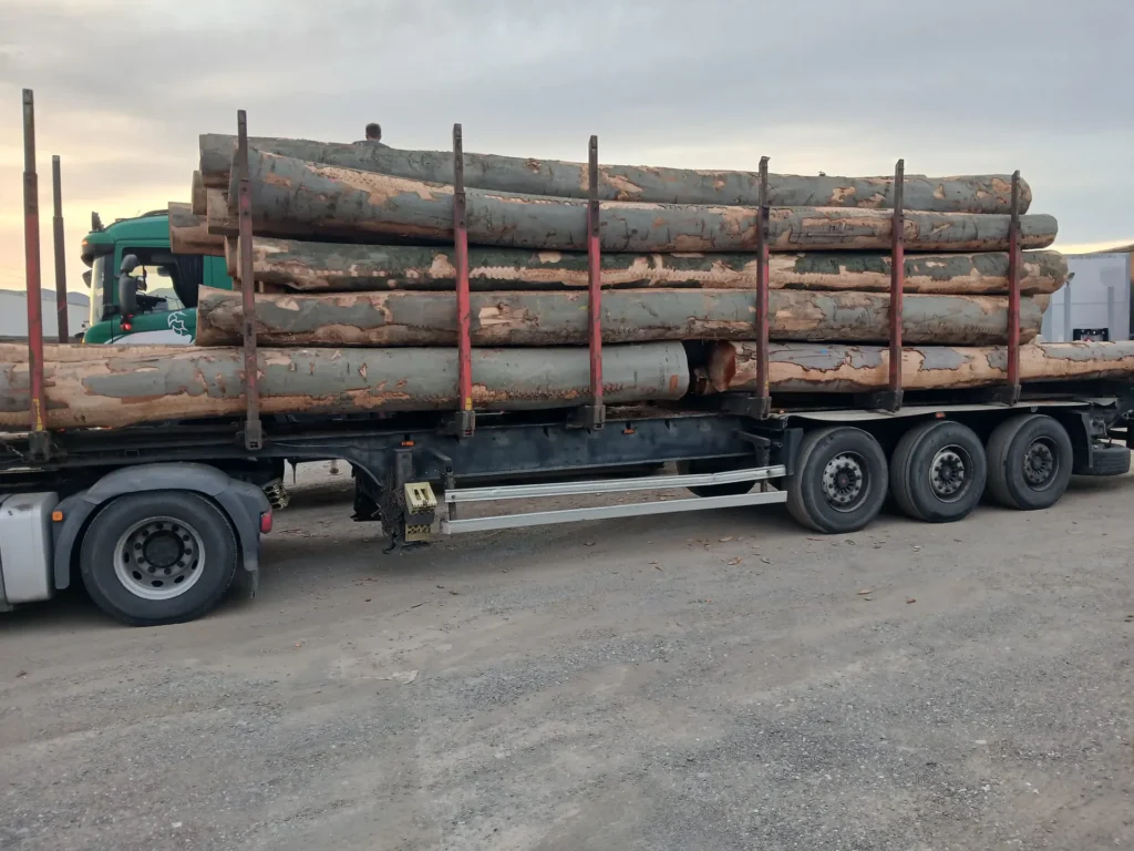 BUK – drewno tartaczne, długość 4-8 m – SPRZEDAM