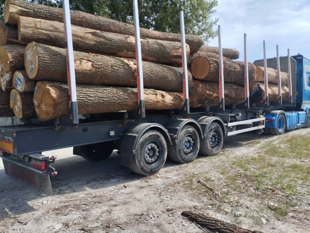 DĄB – kłody tartaczne, długość 3-6 m – SPRZEDAM