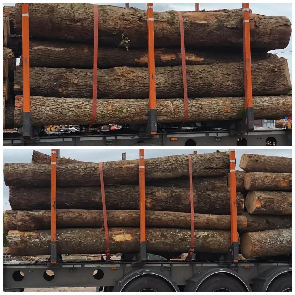 JESION – kłody tartaczne, długość 4 m – SPRZEDAM