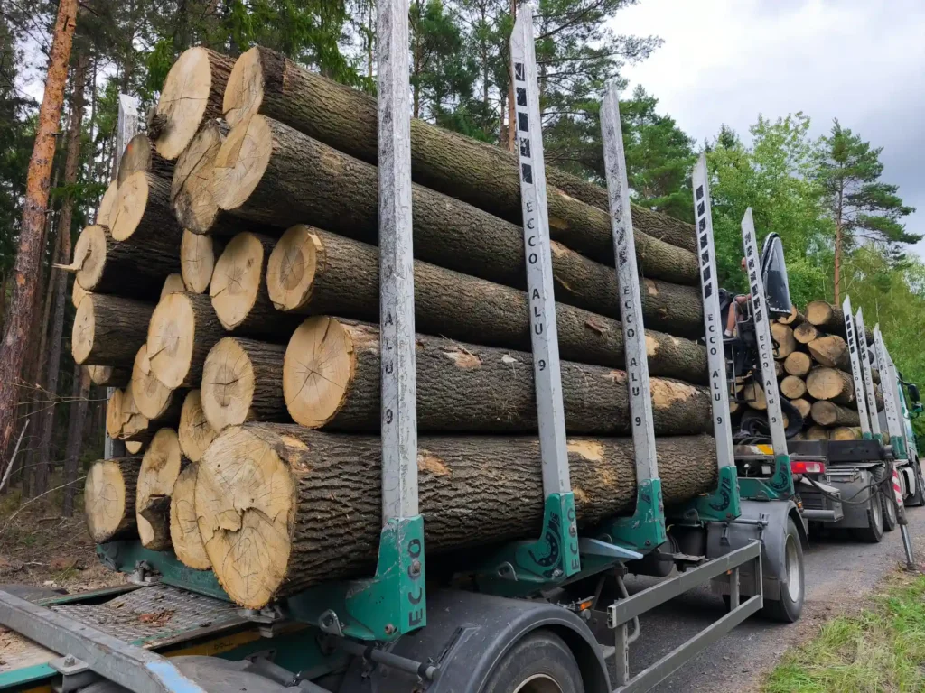 JESION– kłody tartaczne, długość 4 m – SPRZEDAM