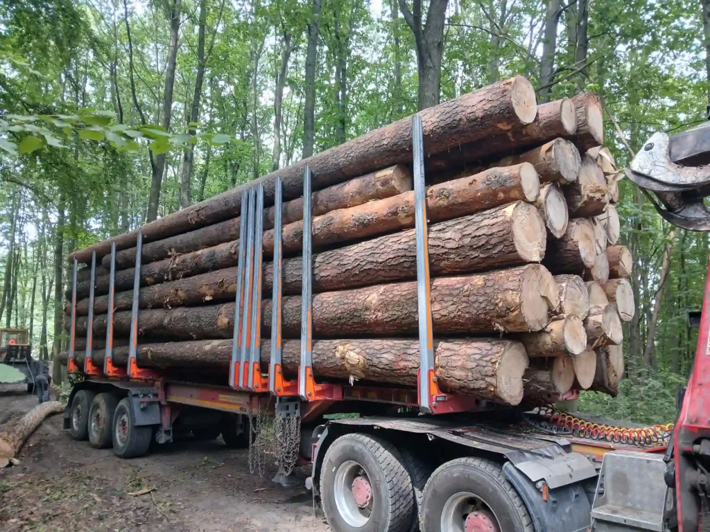 SOSNA – dłużyce tartaczne, długość 8/10/12 m – SPRZEDAM