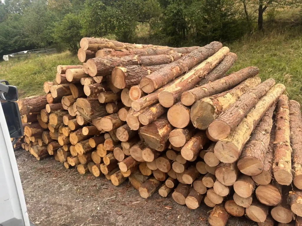 SOSNA – kłody tartaczne, długość 4 m – SPRZEDAM
