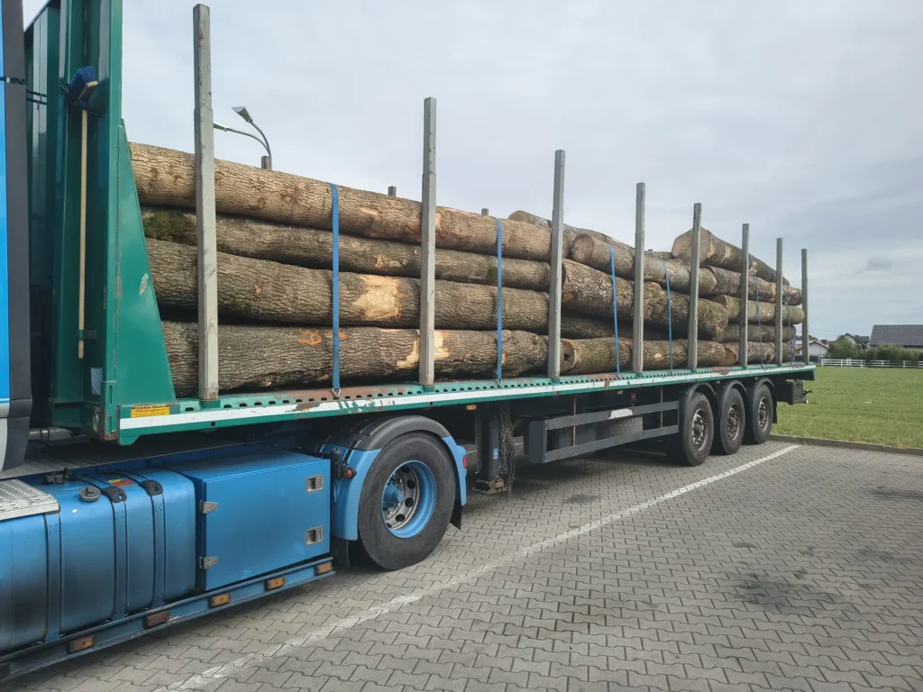 JESION – kłody tartaczne, długość 3/4/5 m – SPRZEDAM