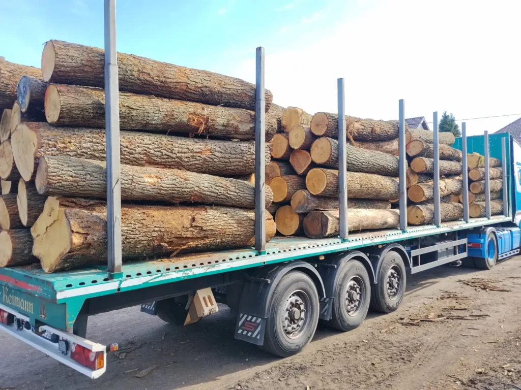 DĄB – kłody tartaczne, długość 2,5 m – SPRZEDAM