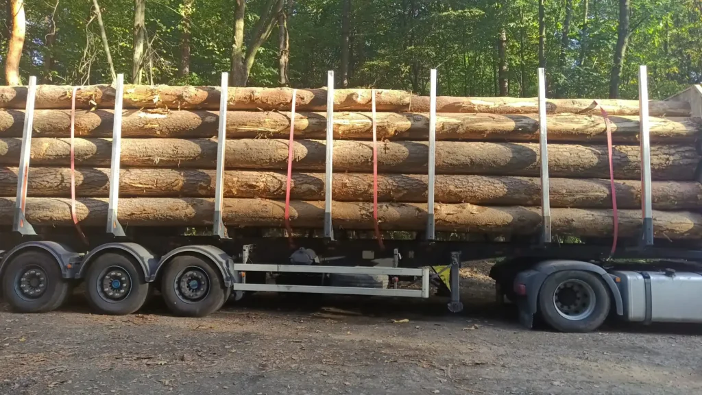 SOSNA – dłużyce tartaczne, długość 6-12 m – SPRZEDAM