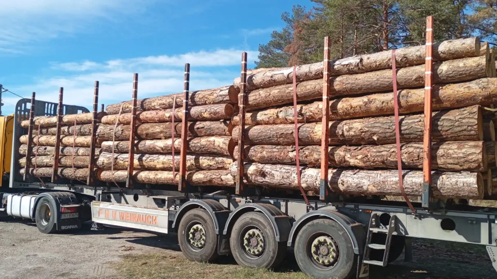 SOSNA – kłody tartaczne, długość 4 m – SPRZEDAM