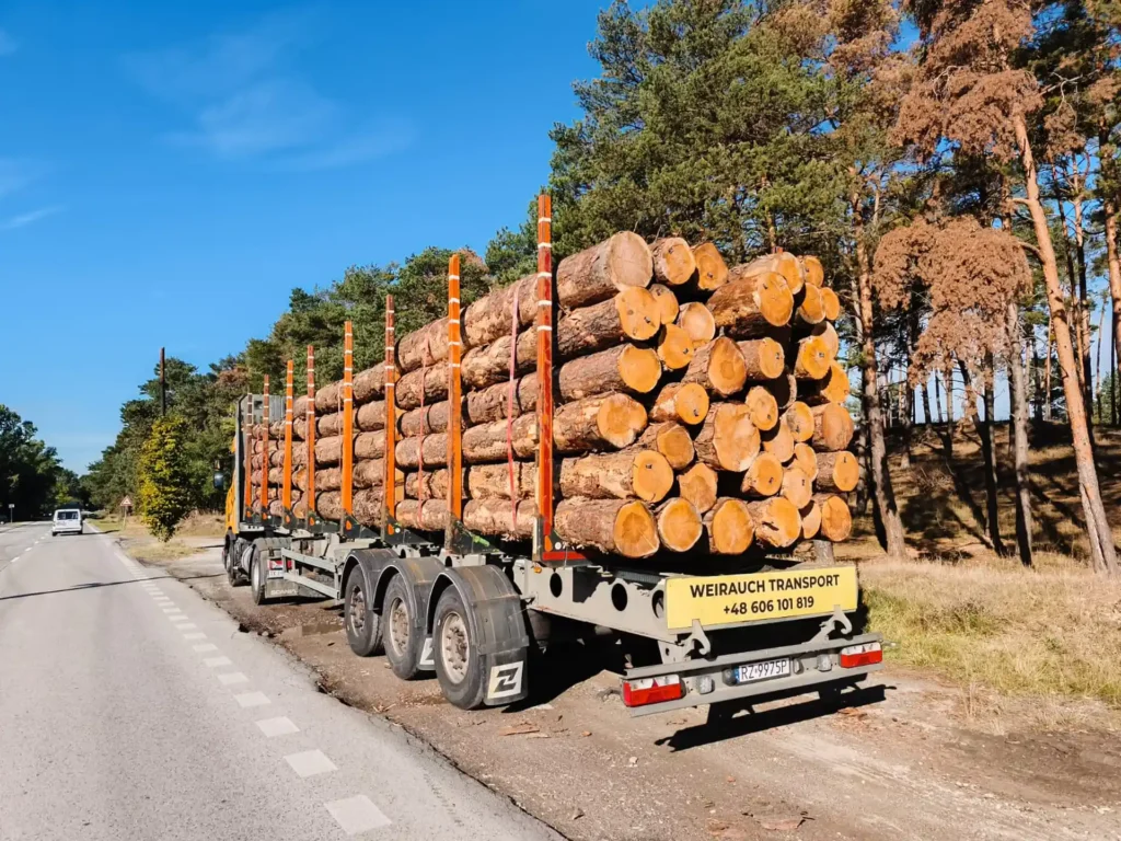 SOSNA – kłody tartaczne, długość 4 m – SPRZEDAM