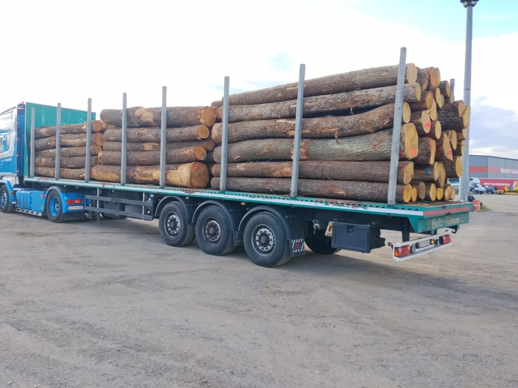 DĄB – kłody tartaczne, długość 4 m – SPRZEDAM
