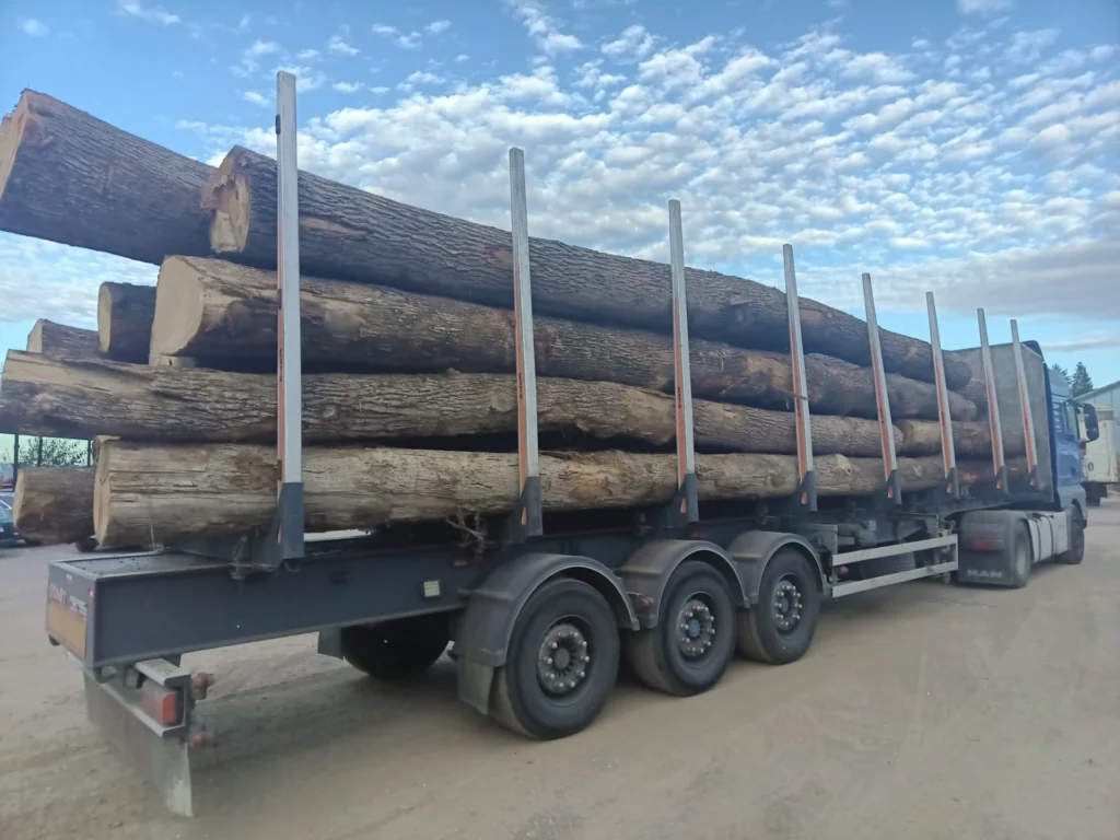 DĄB – drewno tartaczne, długość 4-11 m – SPRZEDAM
