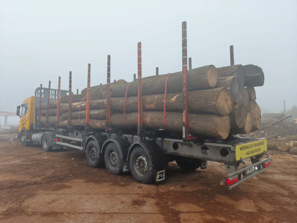 JESION – kłody tartaczne, długość 4 m – SPRZEDAM